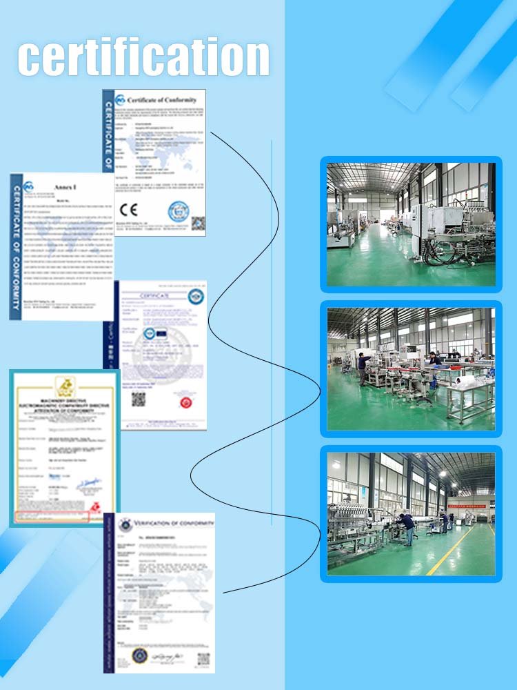 Certificates of the company compliance